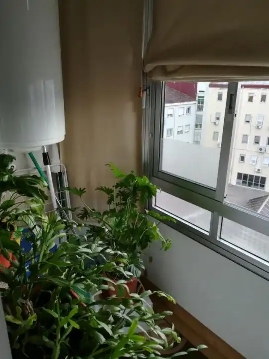 Terraza de Piso en venta en Ourense Capital  con Calefacción, Parquet y Trastero