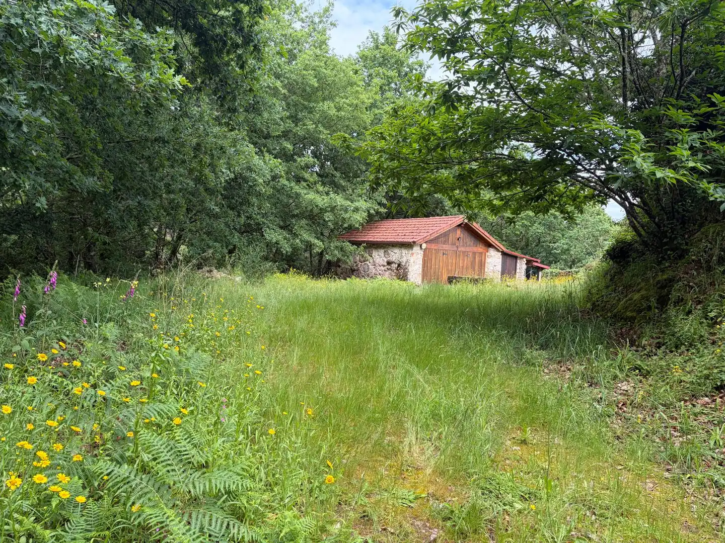 Casa o chalet en venta en A Cañiza   con Jardín privado