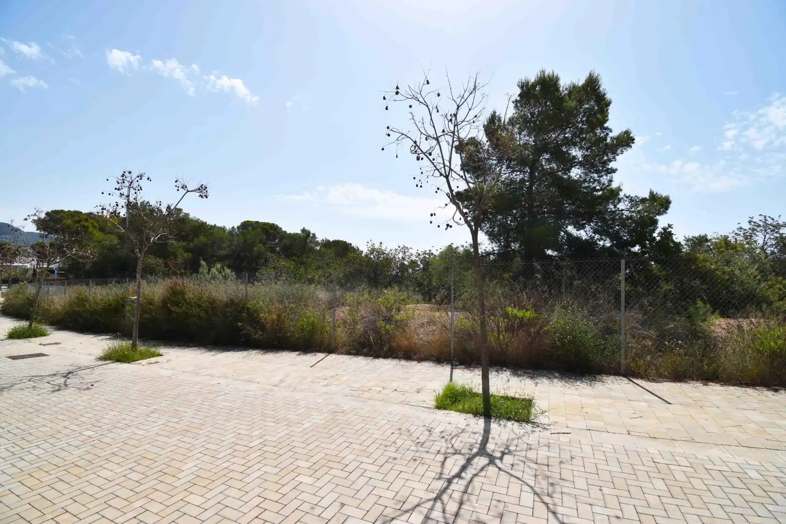 Terreny residencial en venda a La Plana, imagen 12