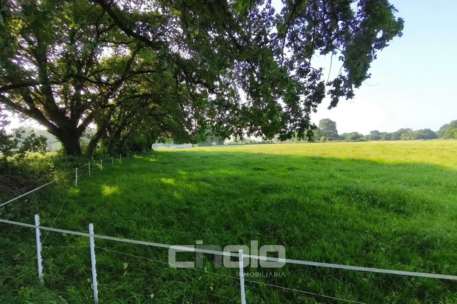 Terreni e lotti in vendita a Outeiro de Rei, imagen 5