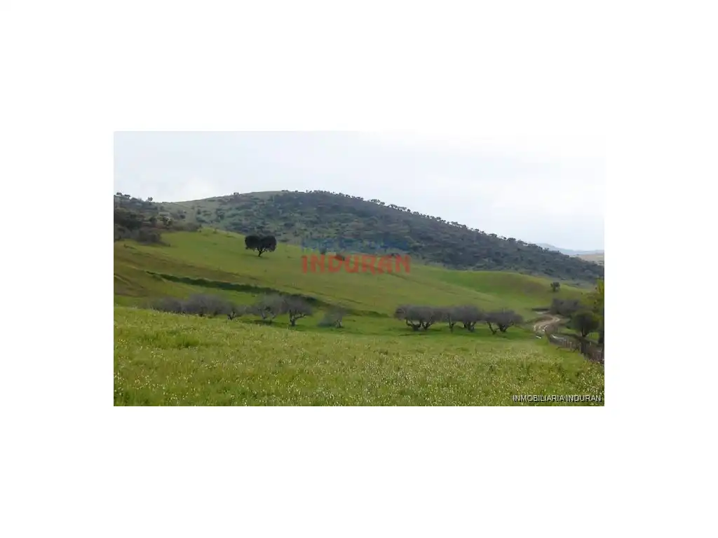Casa o chalet en venta en Montemolín