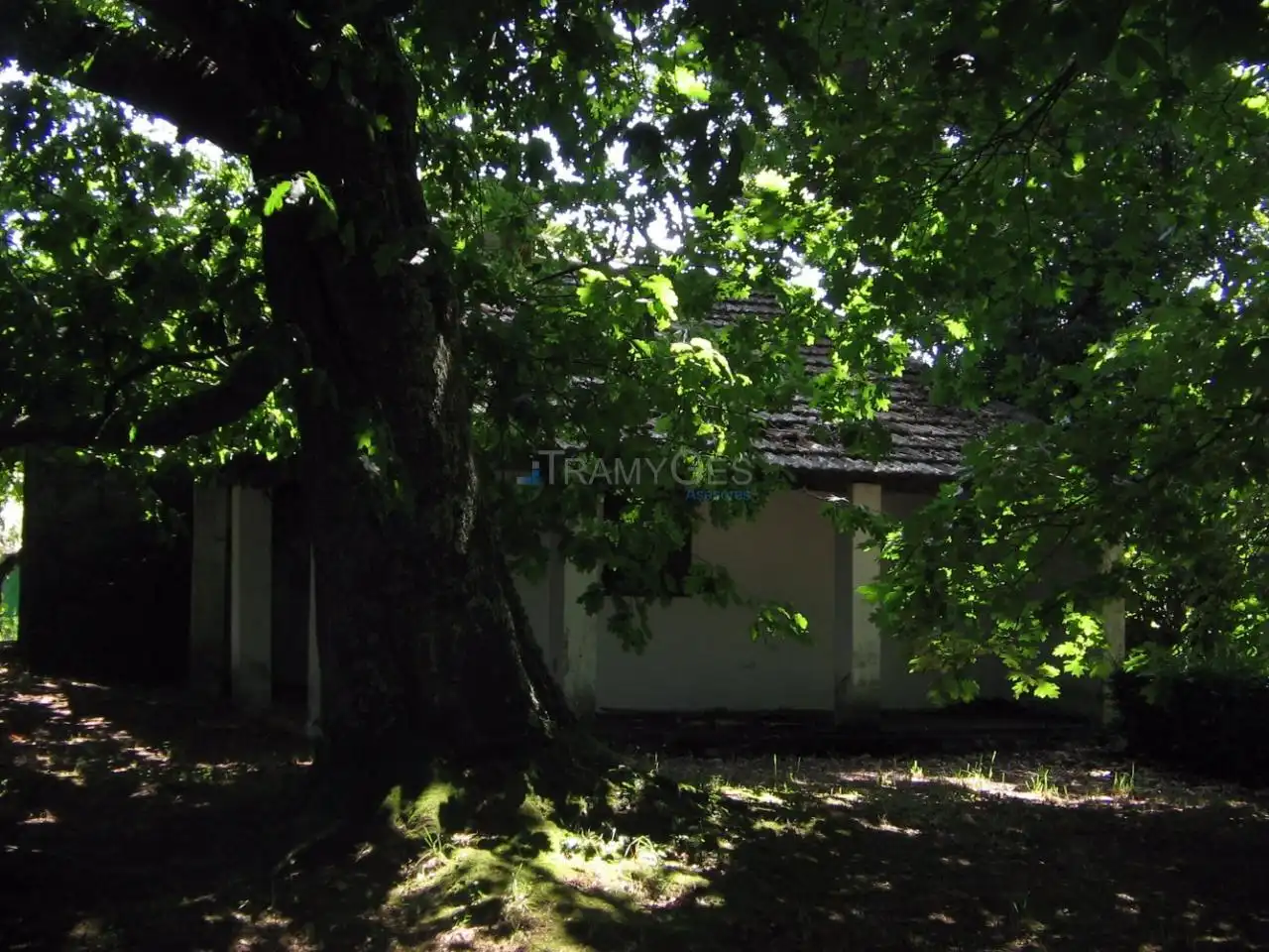 Vista exterior de Casa o chalet en venta en Vigo  con Jardín privado