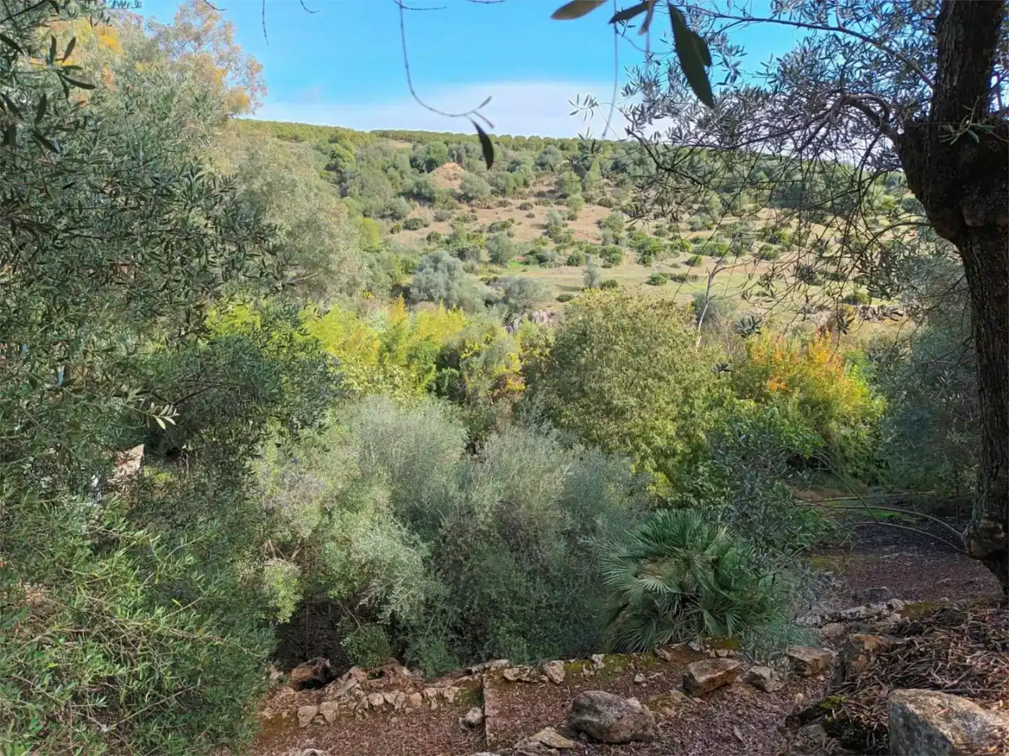 Finca rústica en venda en Hornachuelos amb Jardí privat, Piscina i Moblat