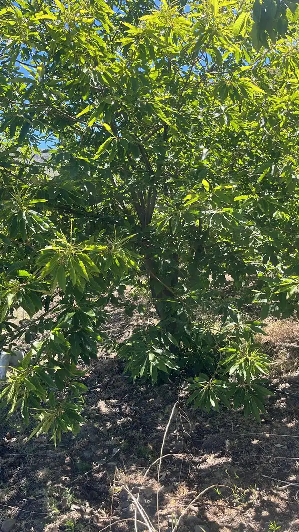 Terreni e lotti in vendita a Nigüelas, imagen 36