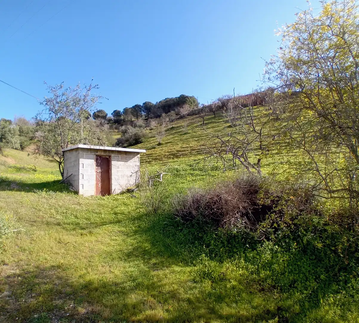 Casa rústica amb jardí en venda a Alozaina, imagen 19