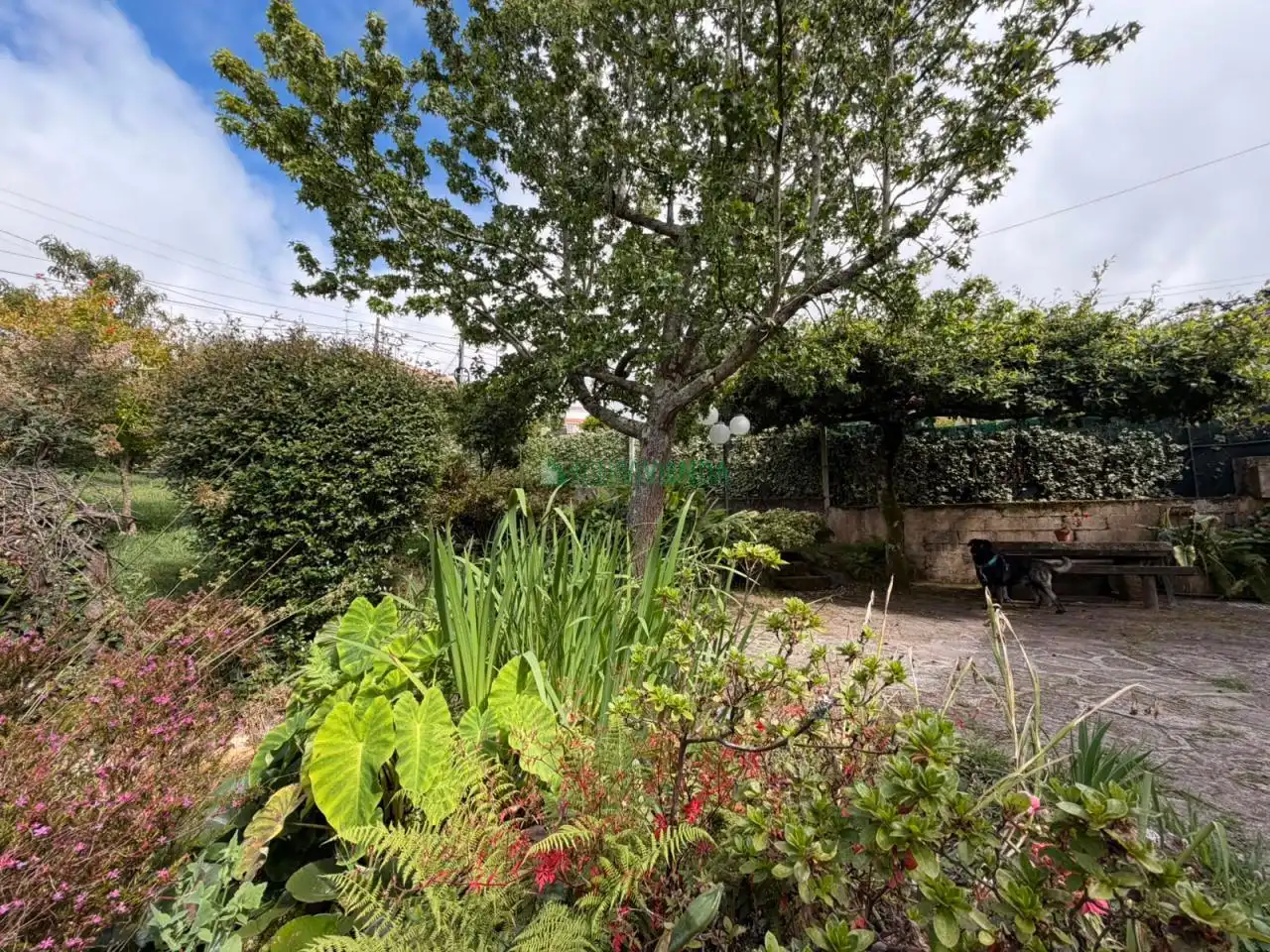 Jardín de Casa o chalet en venta en Vigo  con Calefacción, Jardín privado y Terraza