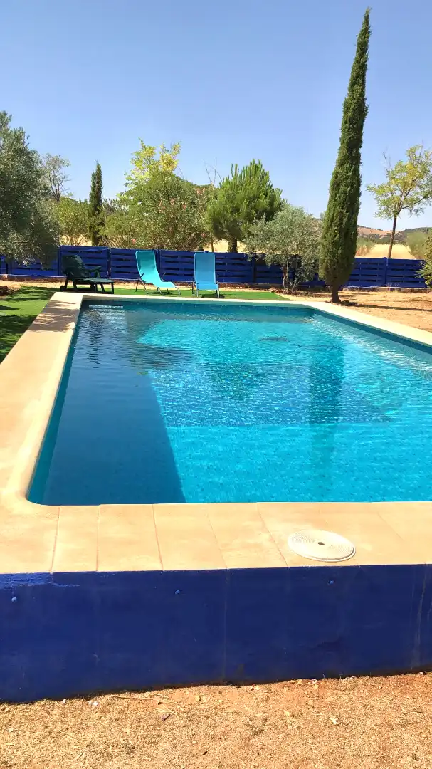 Piscina de Finca rústica en venta en Torrenueva con Aire acondicionado, Calefacción y Jardín privado