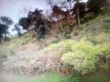 Terreno residenziale in vendita a Carrer Empordà