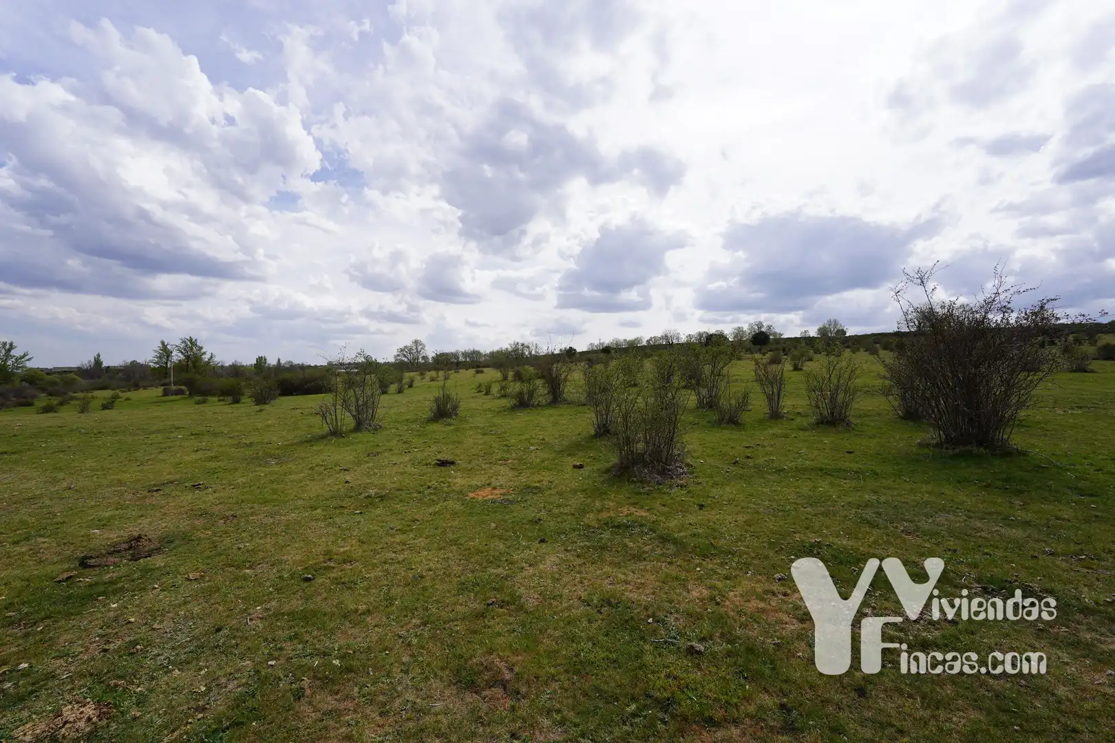 Terreno rústico en venta en Campillo de Ranas, imagen 10