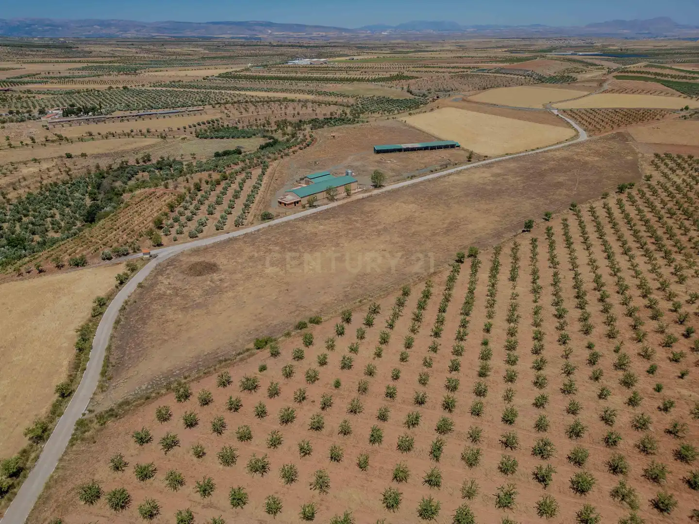Terreno en venta en Cogollos de Guadix