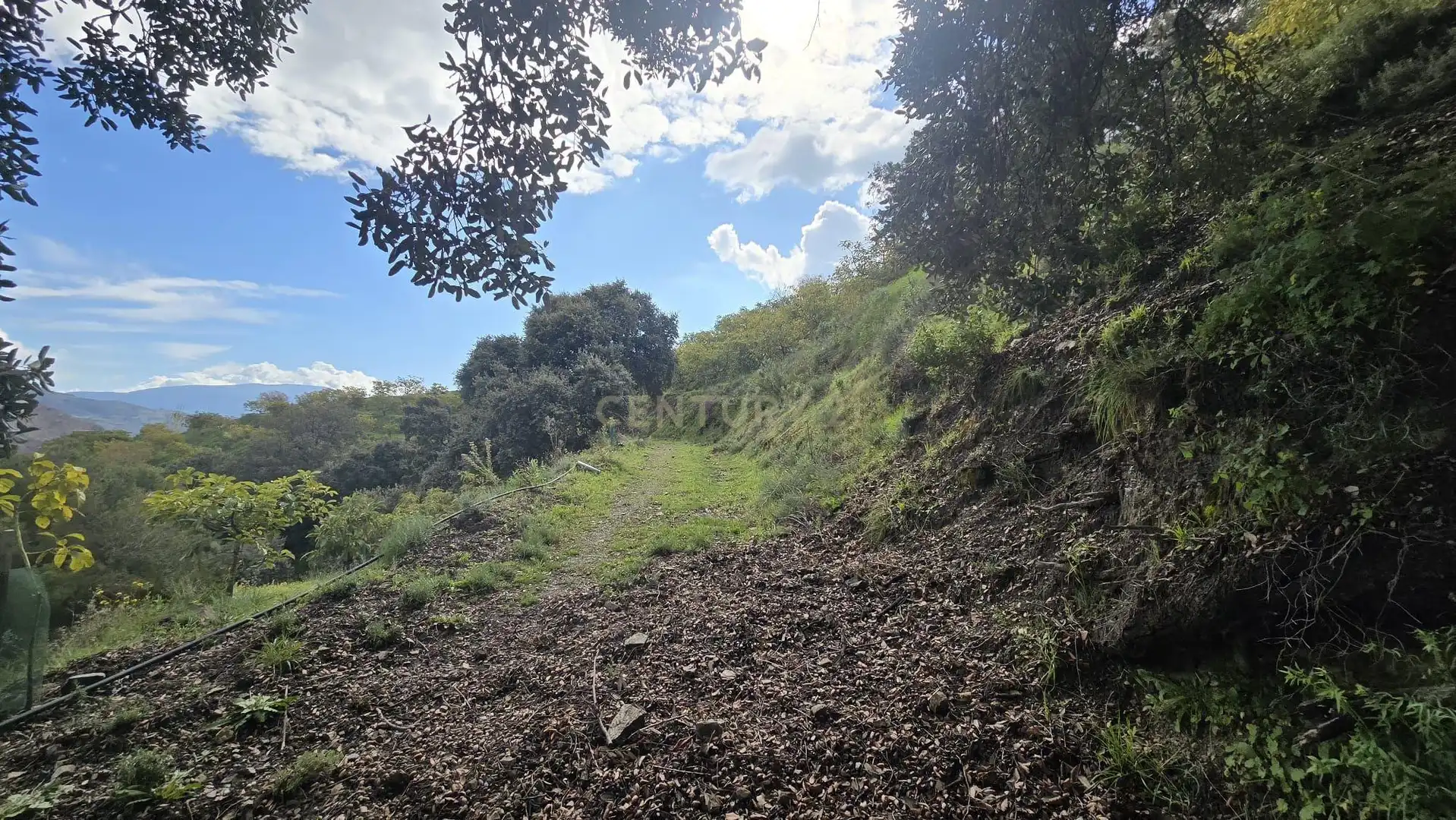 Terreno rustico in vendita a Polígono 11 Parcela 122 EL CERRILLO. LOS GUAJARES (GRANADA), imagen 11
