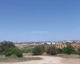 Finca rústica en venda en Mérida amb Terrassa