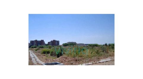SUELO en AVDA ARROS, PARC. 21, SUECA, imatge 3