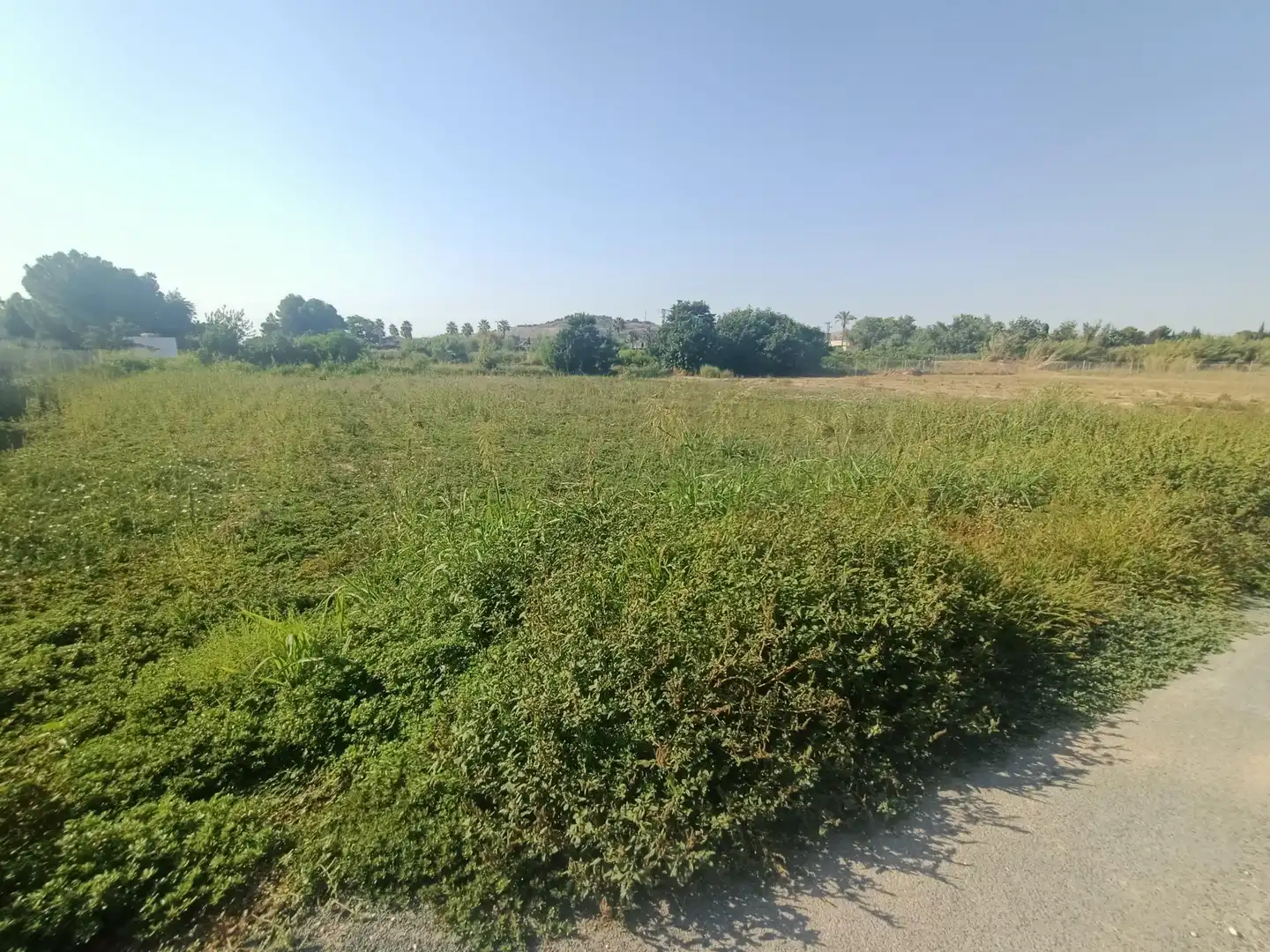 Grundstücke und Bauplätze zum Verkauf in Lorquí, imagen 7