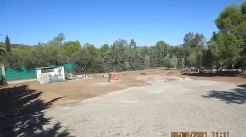 Foto 4 de Casa o chalet en venta en Camino Viejo de las Virtudes, Santa Cruz de Mudela, Ciudad Real