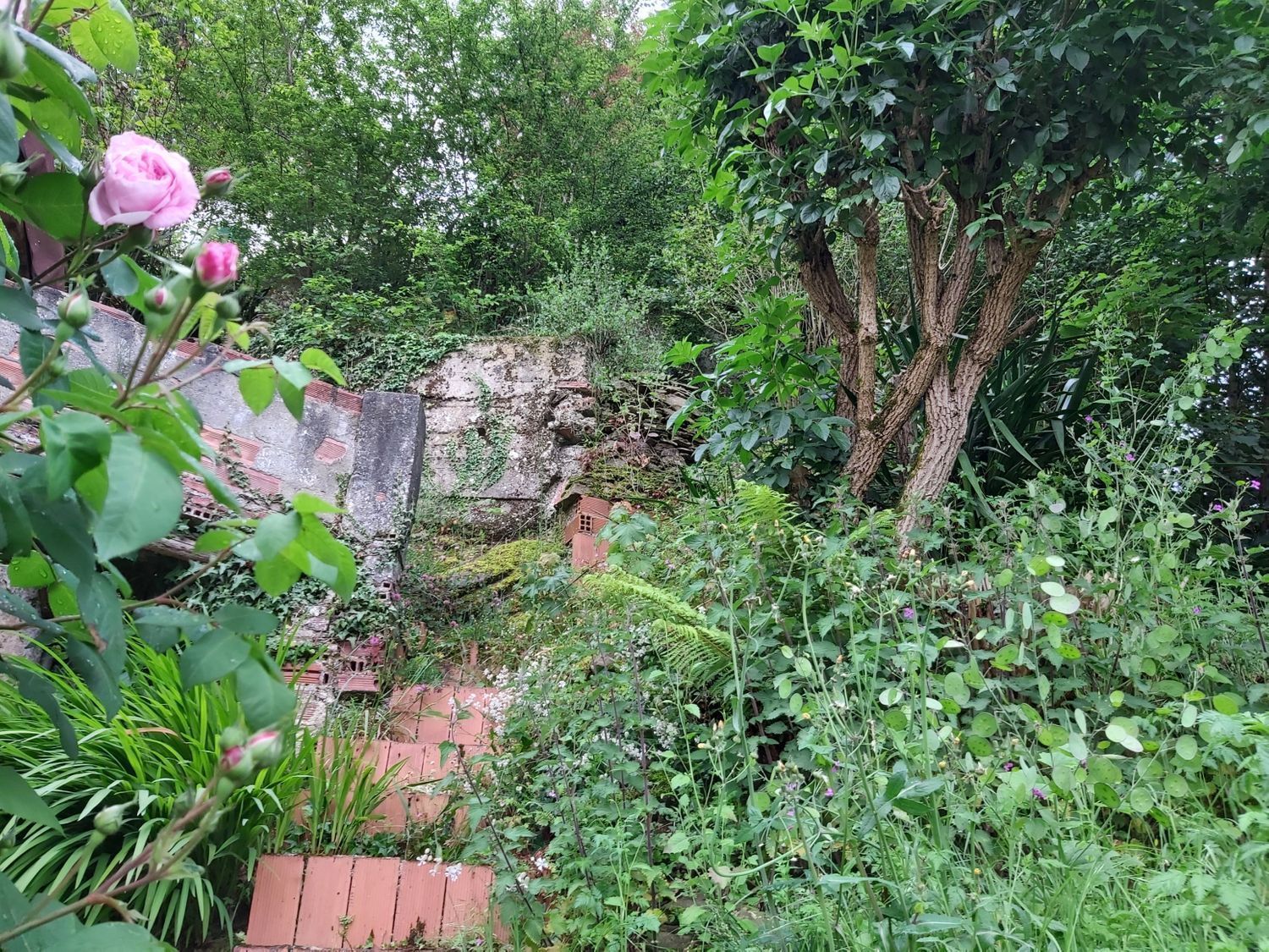 Jardí de Casa o xalet en venda en San Martín del Rey Aurelio amb Calefacció i Traster