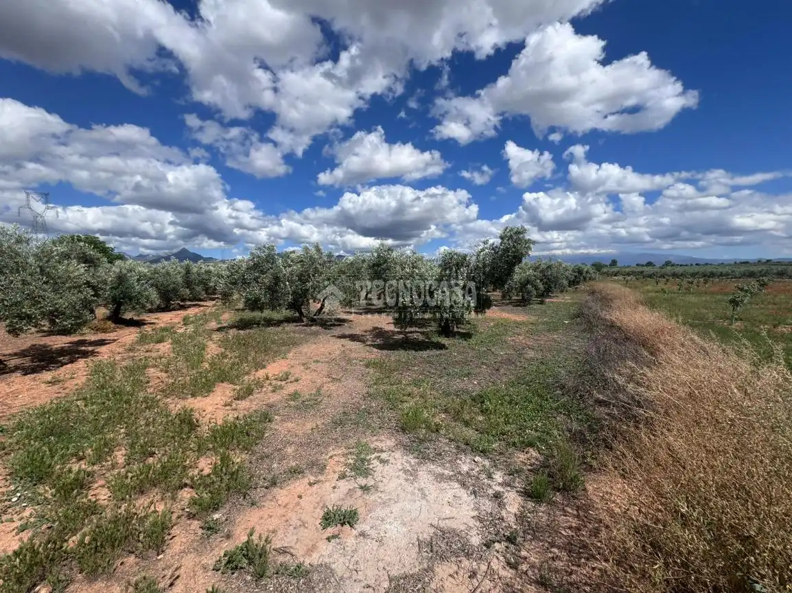 Terrenys i solars en venda a Albolote, imagen 4