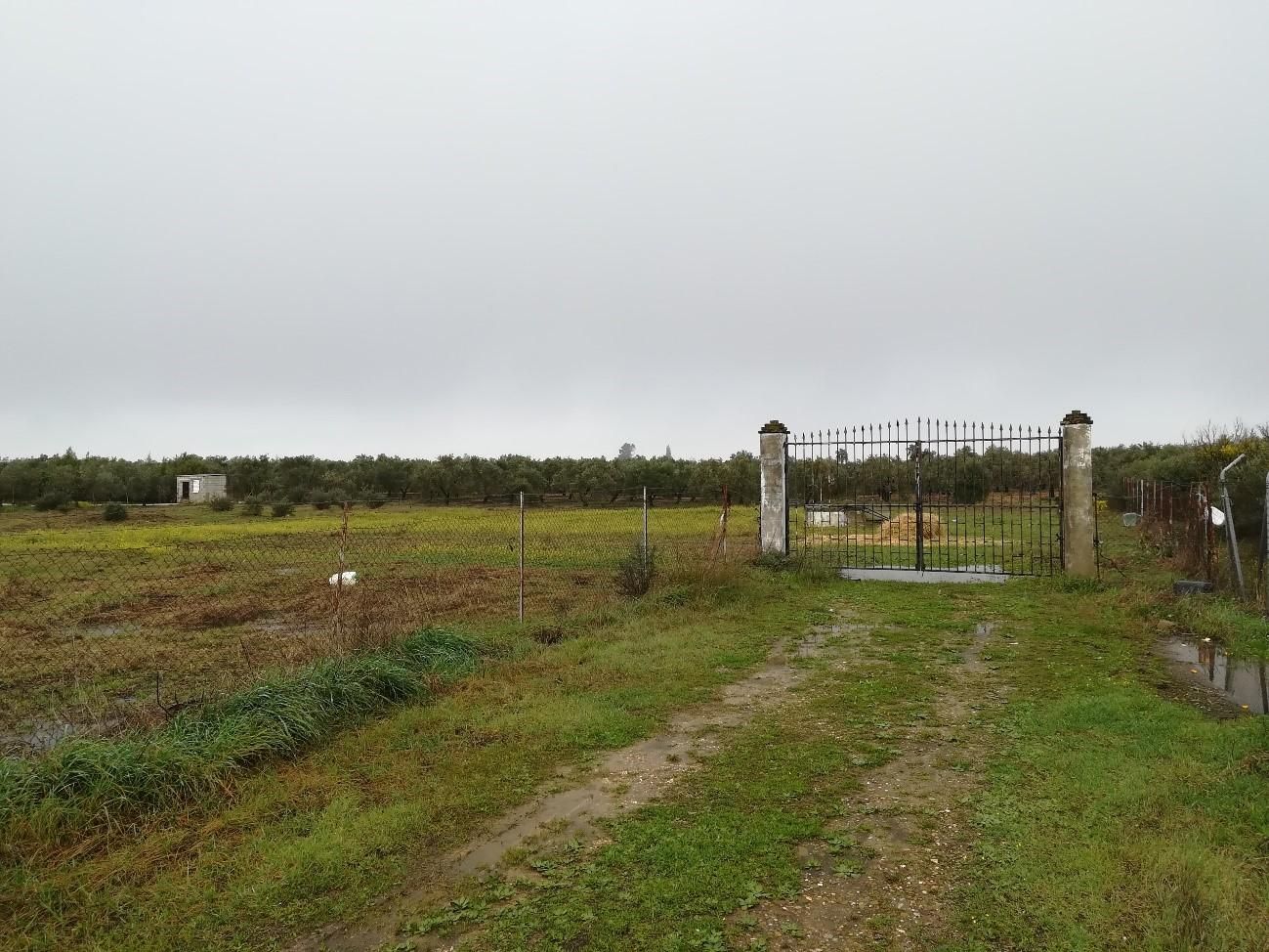 Residencial en venda en Guadalcázar