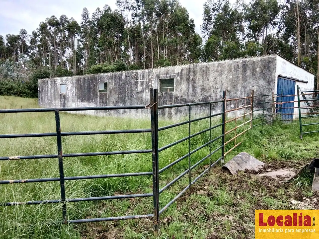 Rural land for sale in Oruña, imagen 8