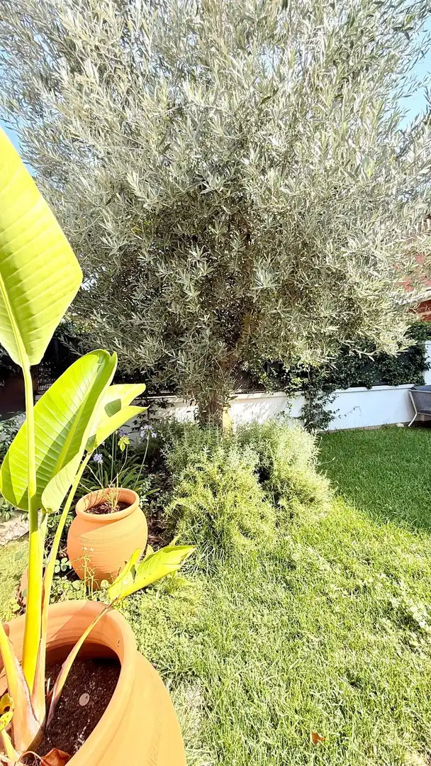 Jardí de Casa adosada en venda en Cunit amb Aire condicionat, Calefacció i Jardí privat