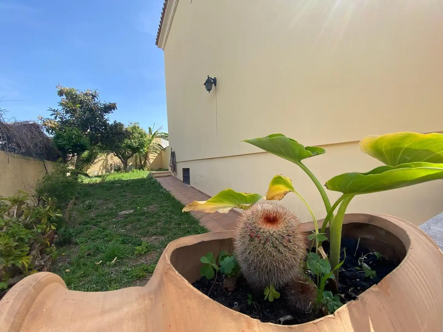 Jardín de Casa o chalet en venta en Los Barrios con Jardín privado y Balcón