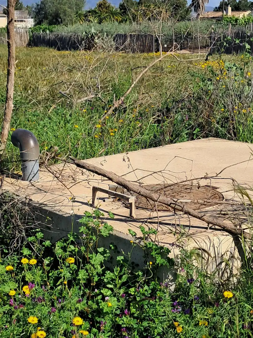 Rustikales Grundstück zum Verkauf in Pedanías Sur, imagen 3