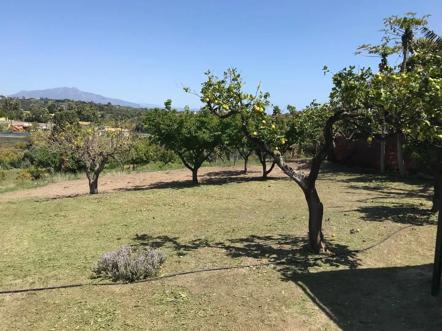 Maison avec jardin à vendre à Camino La Alberdina, imagen 16