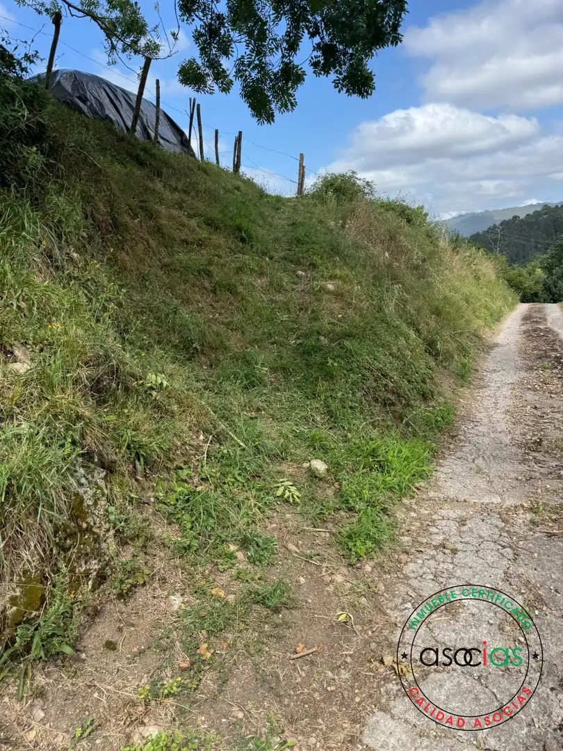 Terreny en venda en Villaviciosa