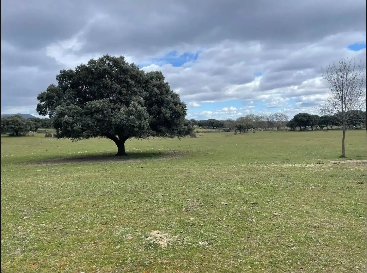 Terreno en venta en Galapagar