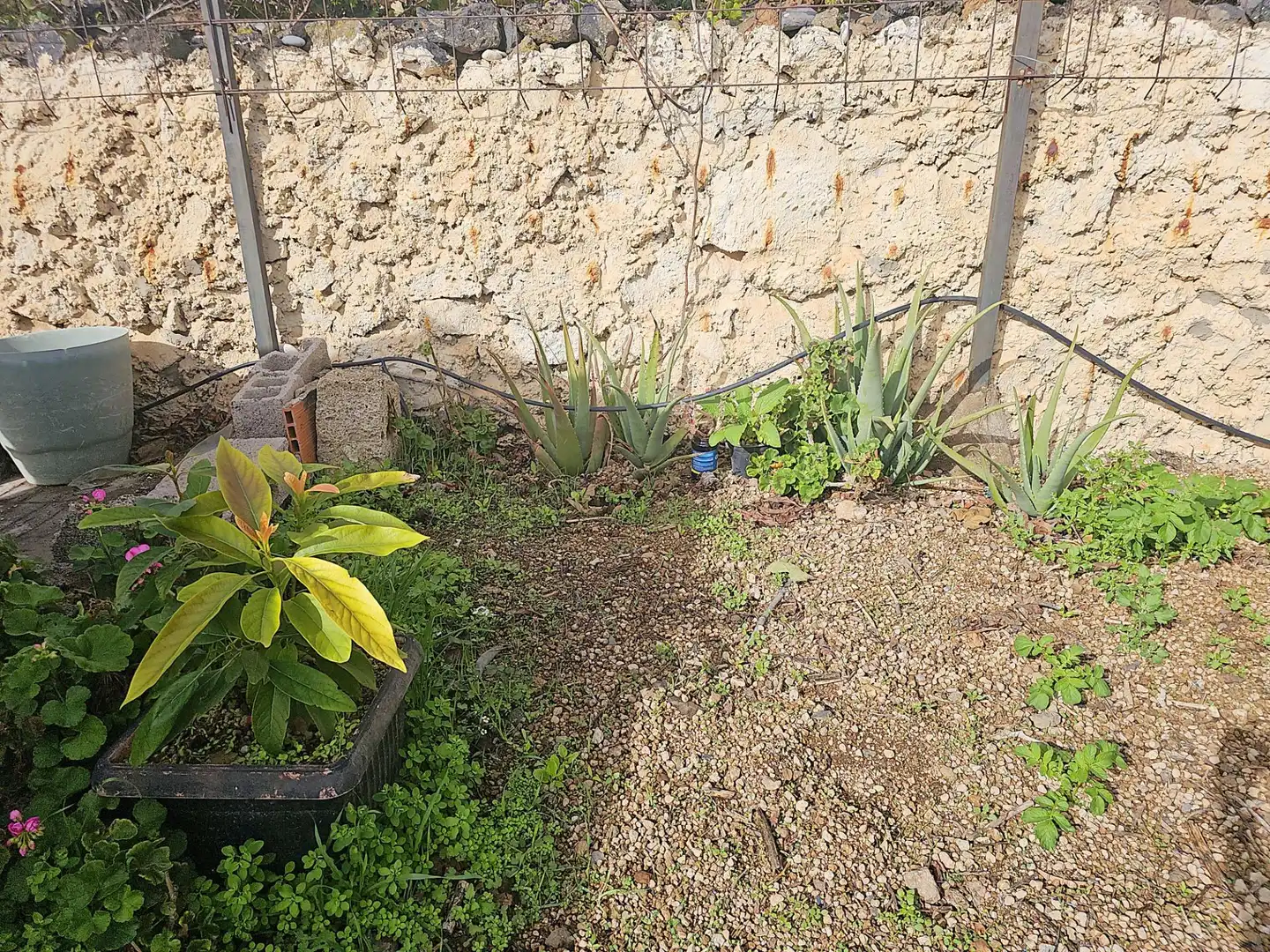 Finca rústica en venda en Granadilla de Abona