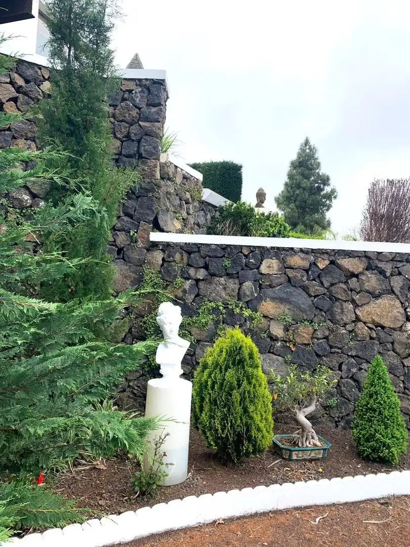Villa avec jardin à vendre à La Perdoma - San Antonio - Benijos, imagen 18