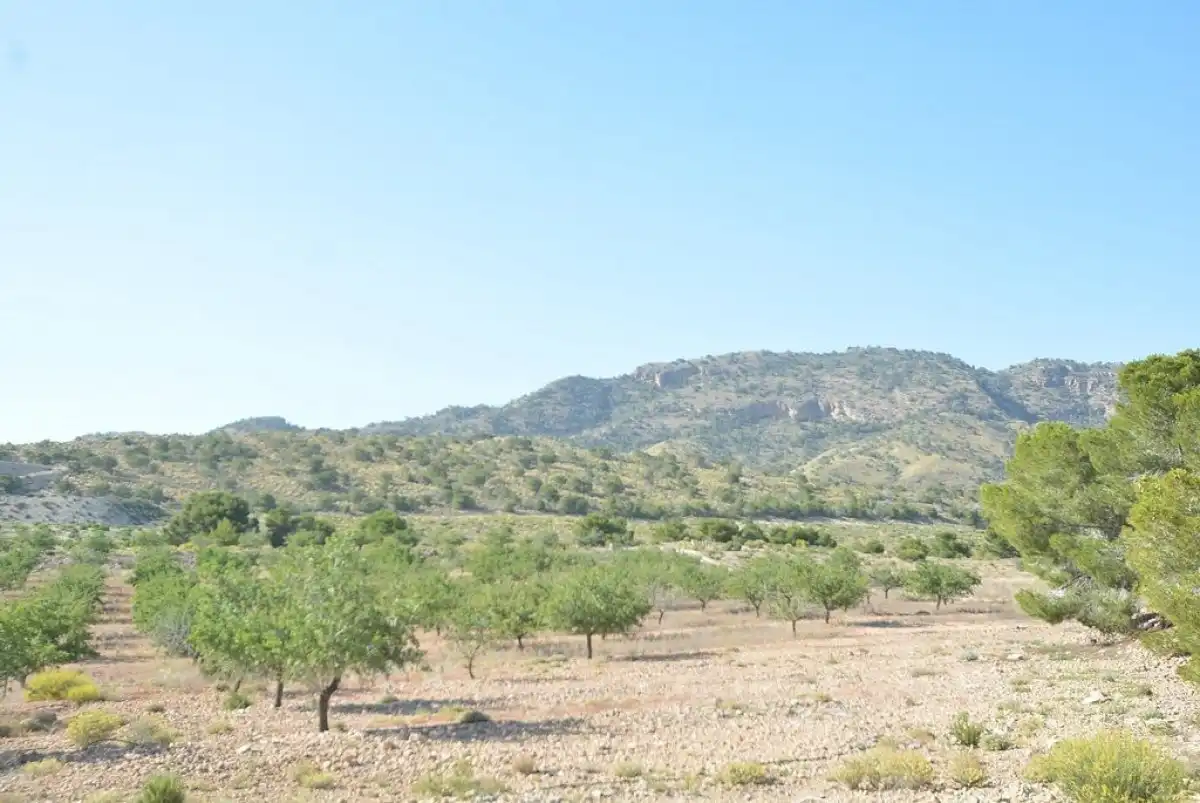 Terreni e lotti in vendita a Campo de Murcia, imagen 24