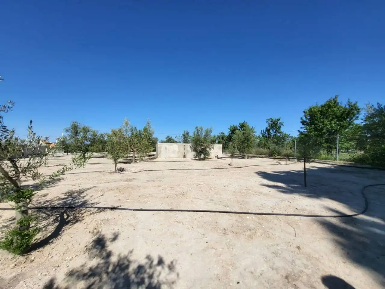 Landhaus zum Verkauf in Baza, imagen 5