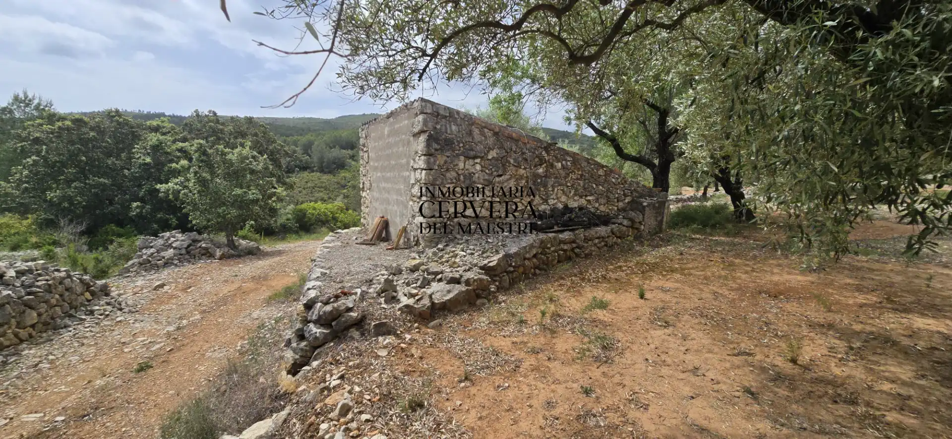 Terreno rustico in vendita a Cervera del Maestre, imagen 9