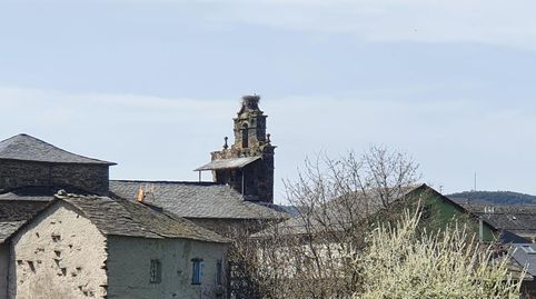 en Paramo Del Sil