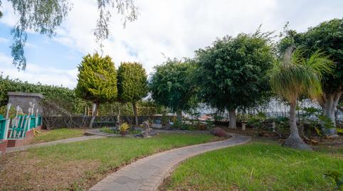 Photo 5 of House or chalet for sale in Las Mesas - El Toscón, Las Palmas