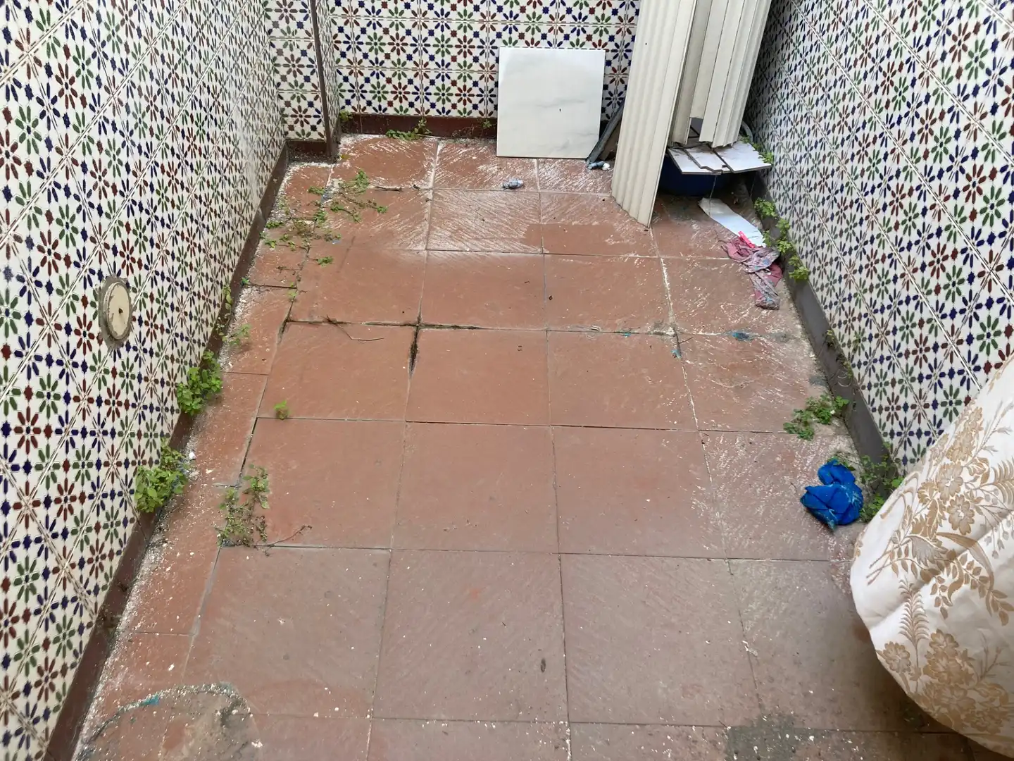 Jardín de Casa o chalet en venta en Algeciras con Terraza, Trastero y Balcón