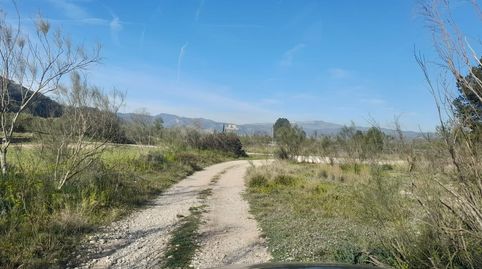 OPORTUNIDAD FINCA DE REGADIO EN BATEA CON CASETA A RESTAURAR, immagine 4
