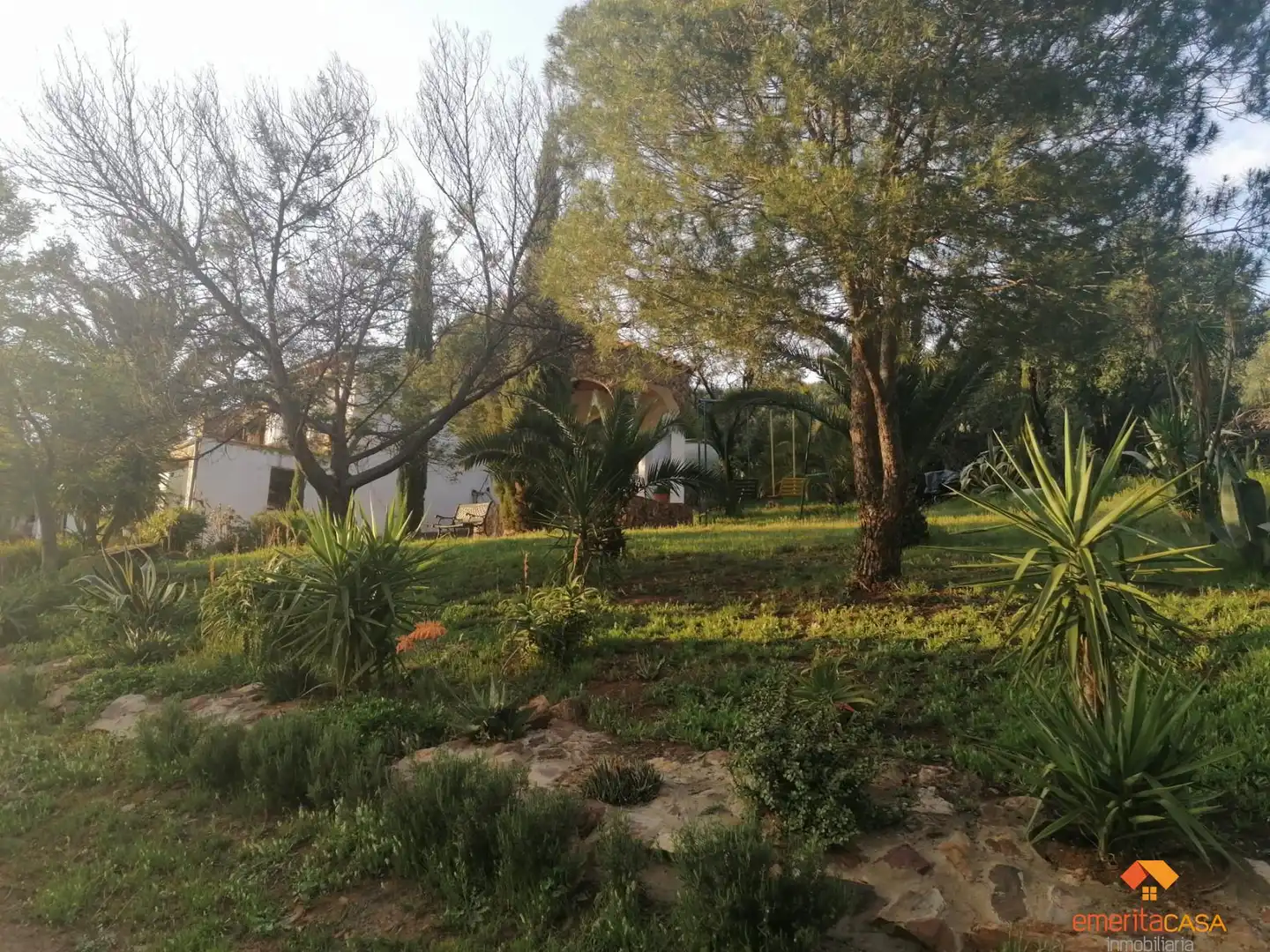 Casa rústica amb piscina en venda a Alange, imagen 14