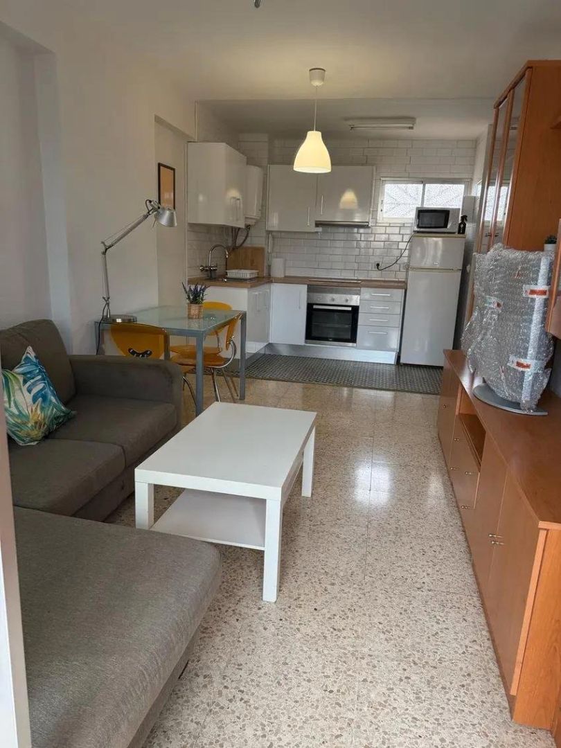 Living room of Flat for sale in Alicante / Alacant  with Private garden, Terrace and Furnished