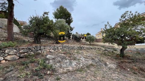 ✨ PARCELA URBANA EN URBANIZACIÓN CRTRA. ALCORA (BORRIOL) ✨, immagine 3