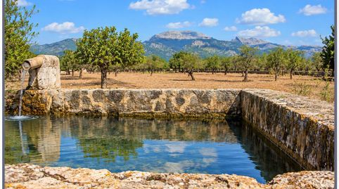 Finca rustica edificable en venta en Selva