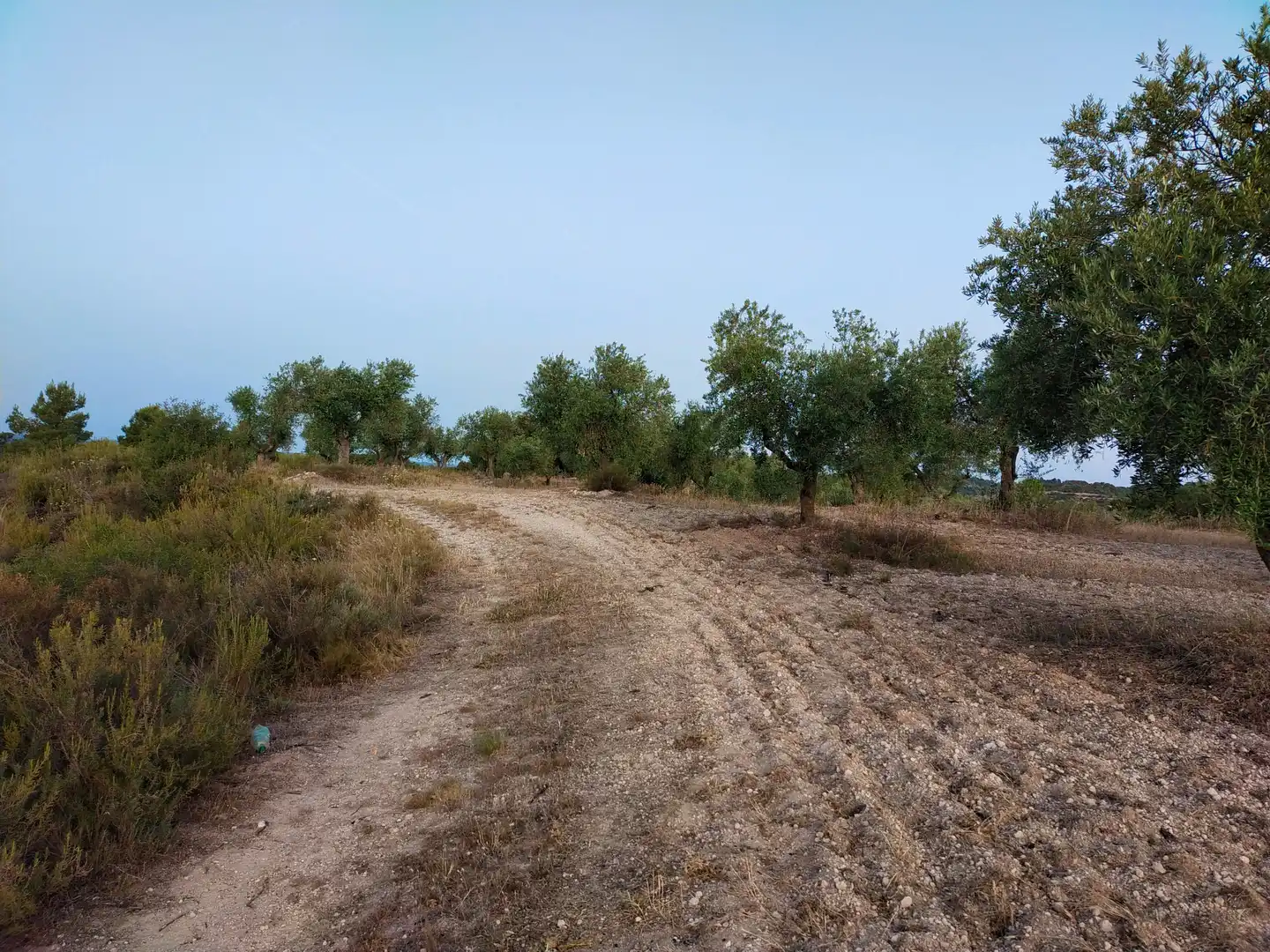 Terreno rústico en venta en Cervià de Les Garrigues, imagen 19