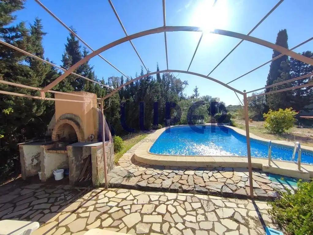Swimming pool of Houses for sale in San Vicente del Raspeig / Sant Vicent del Raspeig