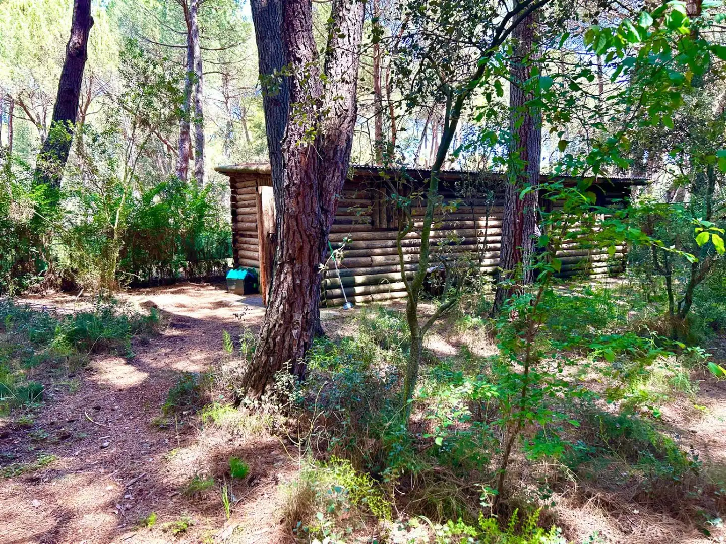 Jardín de Casa o chalet en venta en Albacete con Aire acondicionado, Calefacción y Trastero