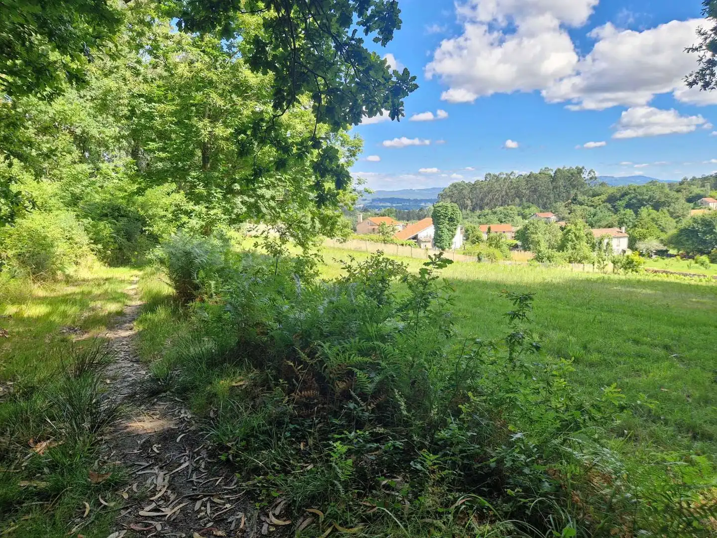 Lands and plots for sale in Brión, imagen 10