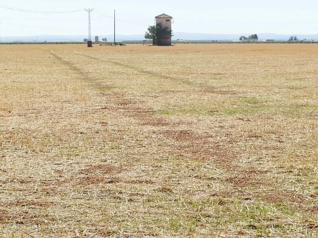Rural land for sale in Valdepeñas, imagen 3