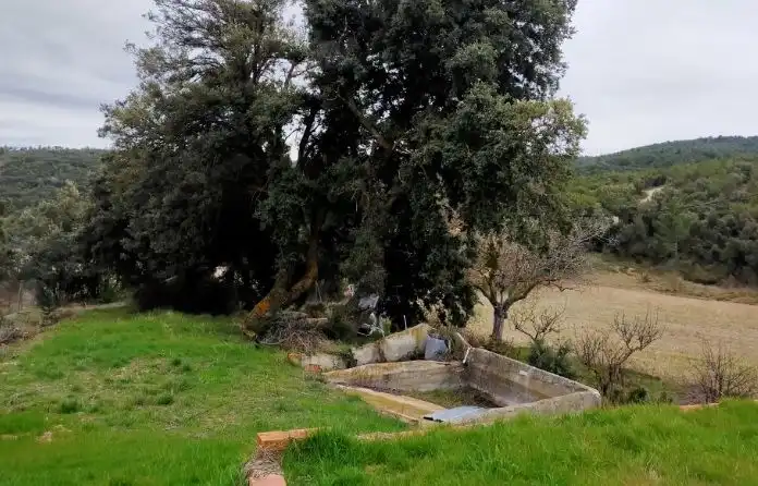 Jardí de Finca rústica en venda en Castellón de la Plana / Castelló de la Plana