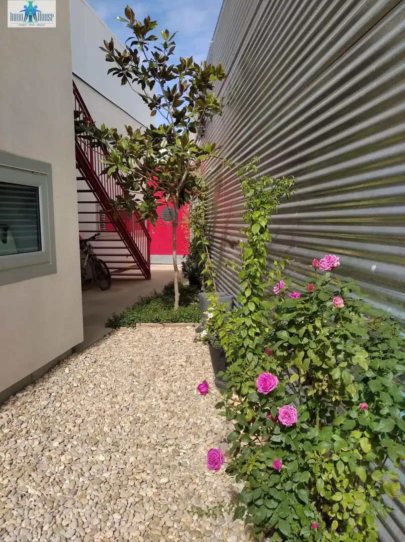 Jardí de Casa o xalet en venda en Barrax amb Traster, Piscina i Alarma