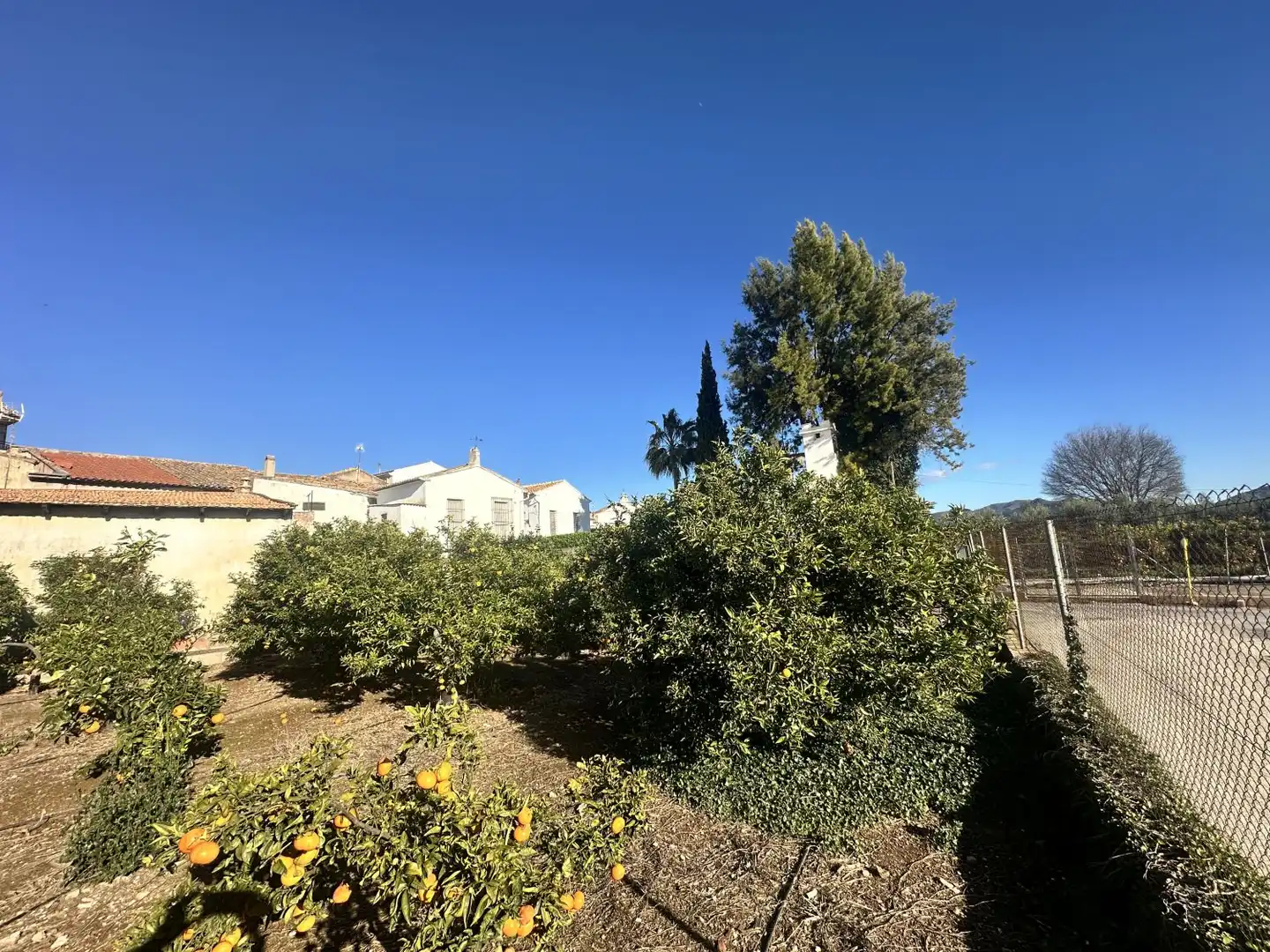 House with terrace for sale in Algímia de Alfara, imagen 49